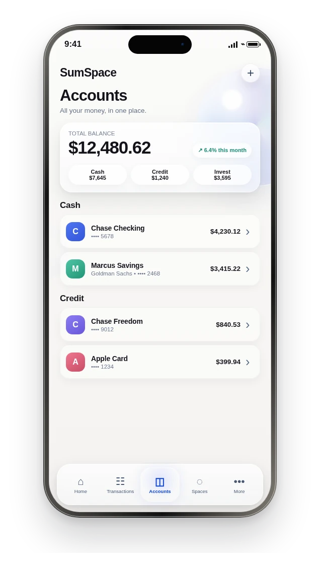 Pre-release SumSpace Accounts screen.